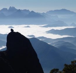 Créditos: Renato Índio do Brasil