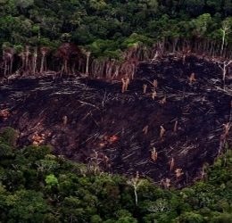 O Ateliê recebe nesta Sexta Livre mais uma atração especial das artes visuais do Norte do Brasil: O Coletivo Amazonas © Alberto Cesar Araújo