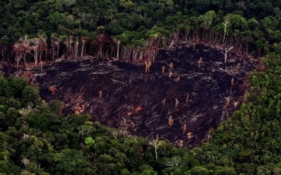 O Ateliê recebe nesta Sexta Livre mais uma atração especial das artes visuais do Norte do Brasil: O Coletivo Amazonas © Alberto Cesar Araújo