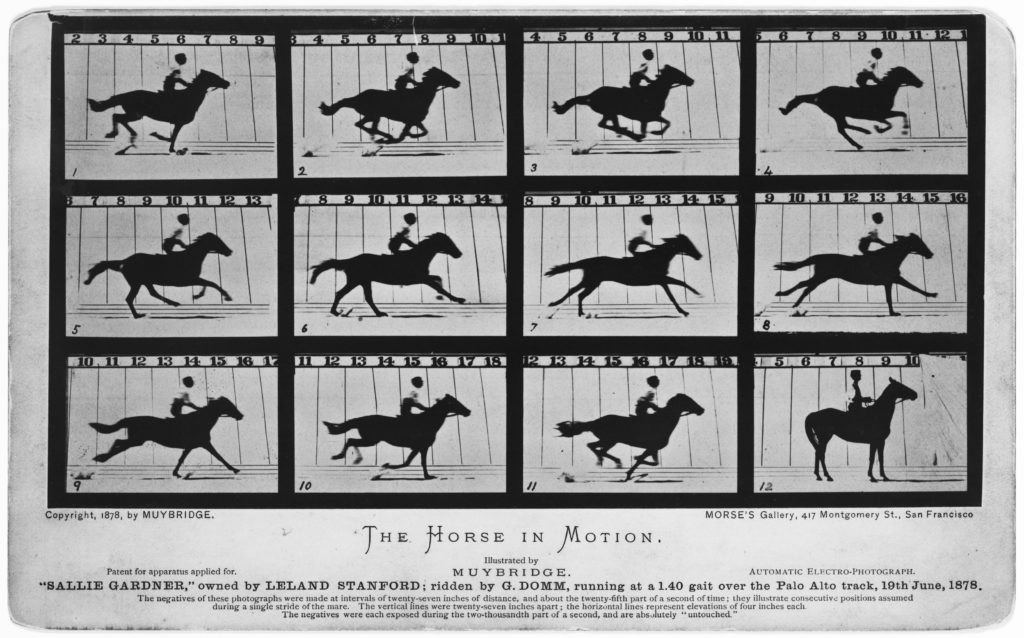 © Muybridge